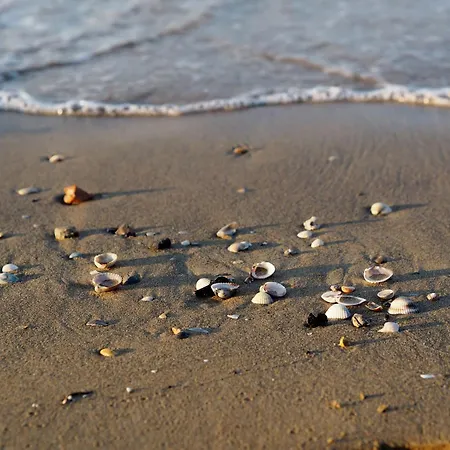 A Few Steps From The Apartmán Bibione